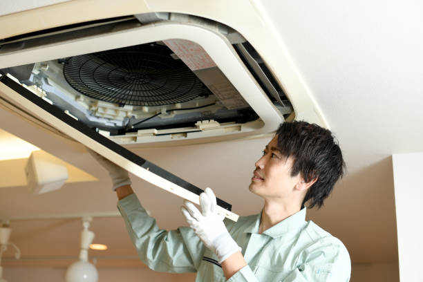 Best Air Vent Cleaning Services  in Lake Mawk, OH